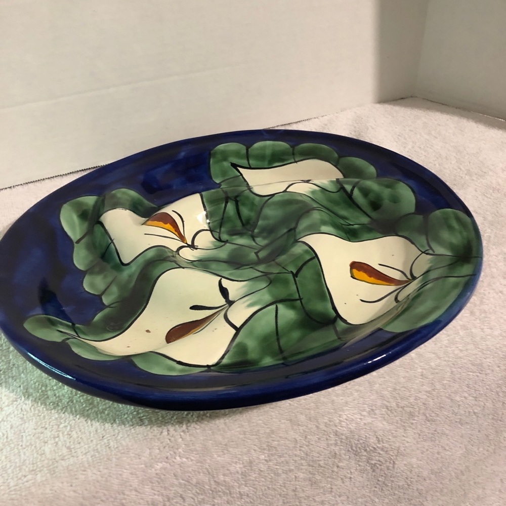 Beautiful hand painted divided dish